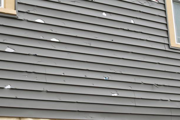 Affordable siding repair and maintenance services in Newport, WA