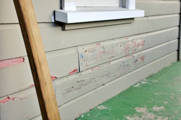 Best Residential Vinyl Siding Installation  in Newport, WA