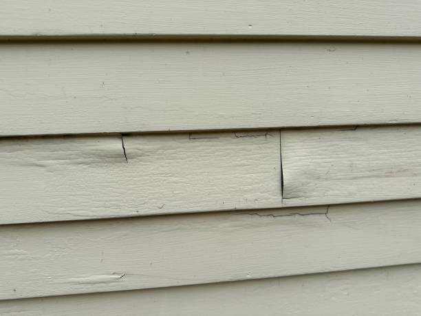 Siding for Multi-Family Homes in Newport, WA